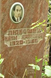 Любошиц Наум Аронович, Москва, Востряковское кладбище
